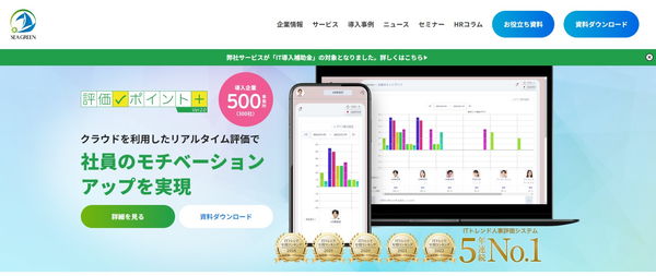 評価ポイント公式HPキャプチャ
